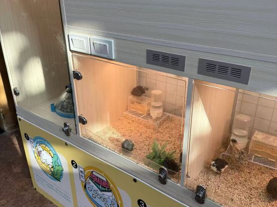 杭州開元森泊度假酒店優惠