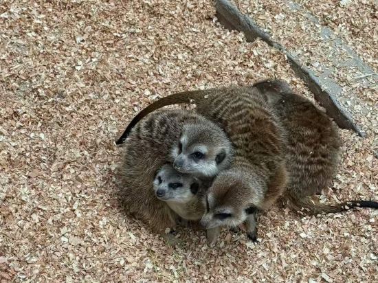 杭州開元森泊度假酒店優惠