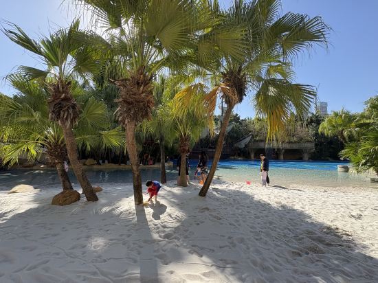 深圳華僑城洲際大酒店優惠