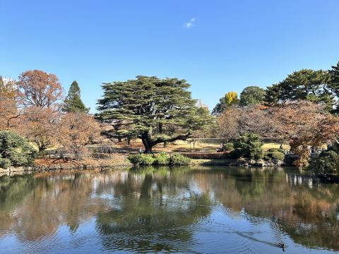 秋葉原ワシントンホテル クーポン
