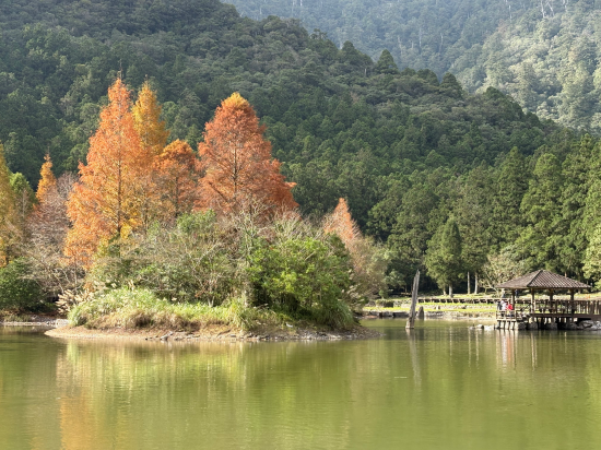 宜蘭大同明池山莊（明池森林遊樂區）優惠