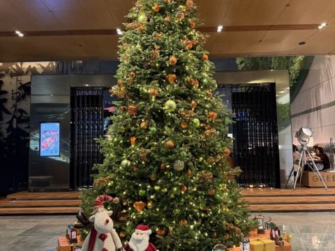 唯港薈酒店優惠