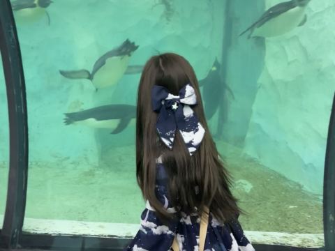 桔子水晶珠海拱北關口酒店優惠