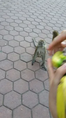 레터 더 나은 홈 호텔 주변 Photos