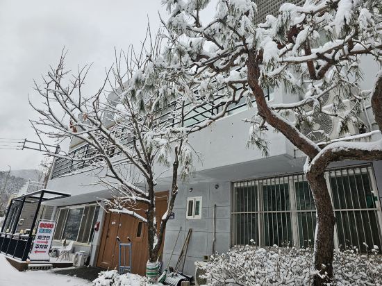 Yangpyeong Koala Kids Pool Villa 쿠폰