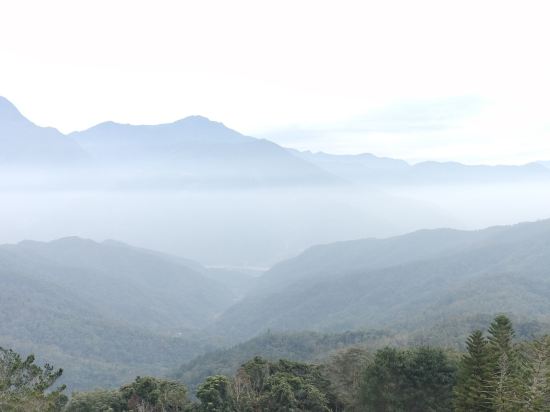 南投日月潭· 向日葵青旅優惠