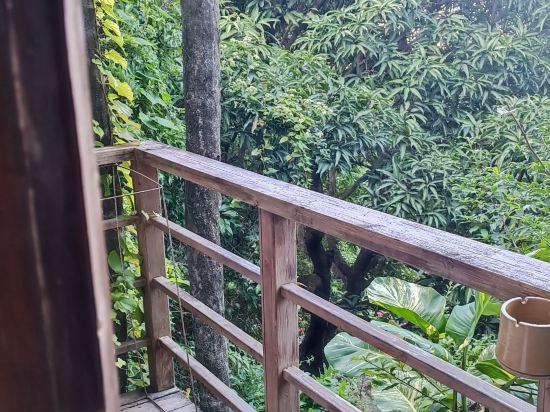 深圳青青世界飯店優惠