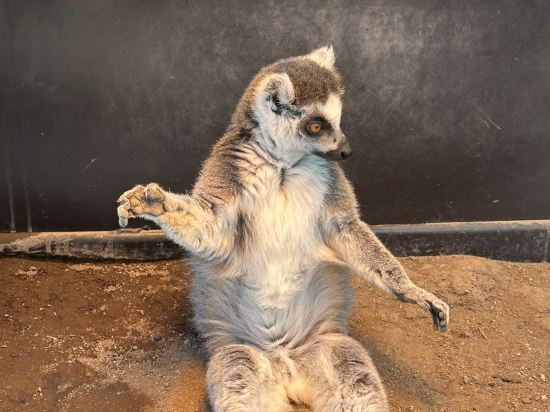 上野ステーションホステル オリエンタル１ クーポン