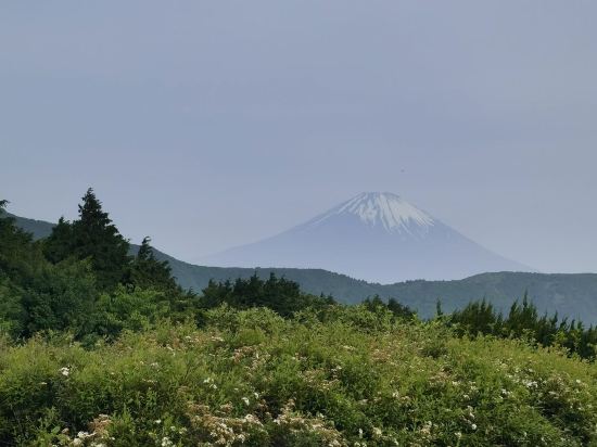 ホテルグリーンプラザ箱根 クーポン