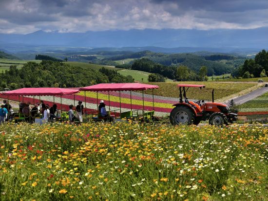 富良野リゾートホテル エーデルヴェルメ クーポン
