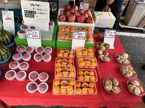 JR クレメントイン高知 クーポン