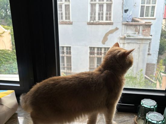 無它老洋房1929酒店（青島海底世界店）優惠