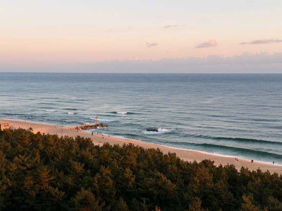 세인트존스 호텔 쿠폰