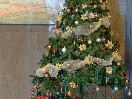 深圳龍華清湖希爾頓歡朋飯店優惠