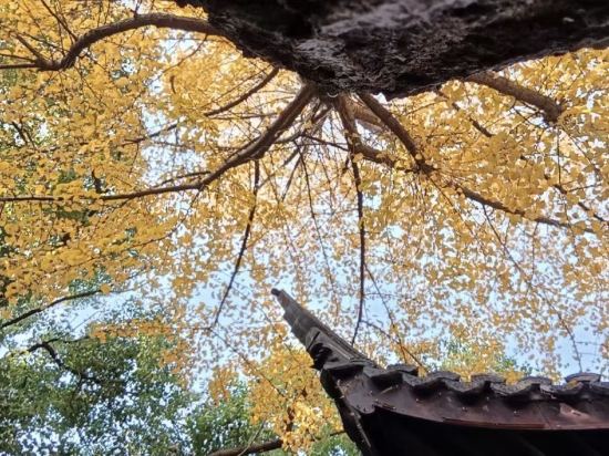 翰文國際公寓（廣州珠江新城中山眼科中心店）優惠