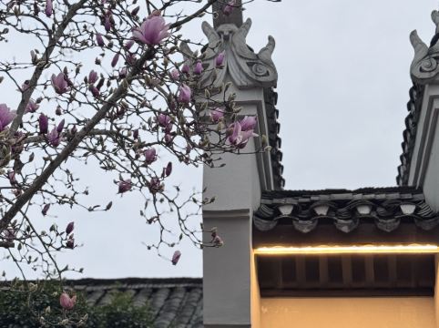 陽朔悦榕莊優惠