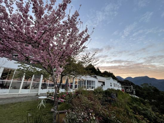 南投清境西雅圖璀璨雙城民宿優惠