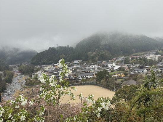 みはらしの宿　杉乃家 クーポン