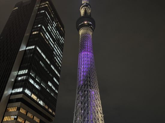 東京押上普瑞米爾里士滿酒店優惠