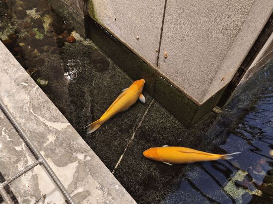 台南行旅Hotel Leisure Tainan - 巷弄潮旅優惠