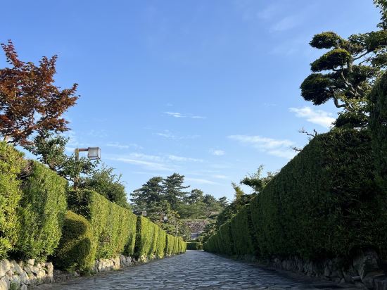 ジャストイン松阪駅前 クーポン
