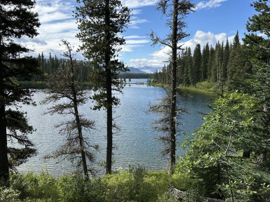 欣頓貝斯特韋斯特優質套房酒店優惠