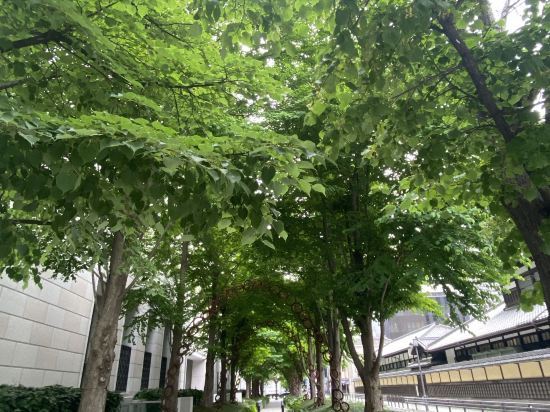 ベストウェスタンプラス ホテルフィーノ大阪北浜 クーポン