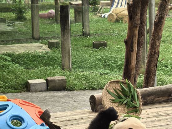 重慶錦怡豪生飯店（動物園地鐵站店）優惠