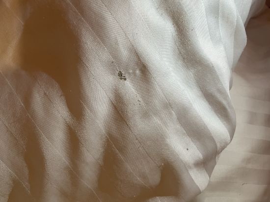 池袋新星酒店優惠