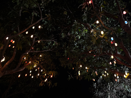 珠海東澳島佳兆業可域度假村優惠