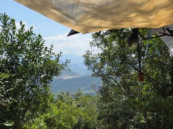 深圳北站王牌國際飯店優惠