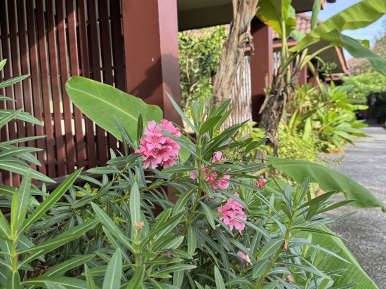 玫瑰灣度假村優惠