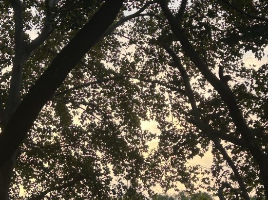 長沙高鐵南站智選假日酒店優惠