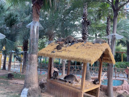 廈門靈玲大飯店優惠