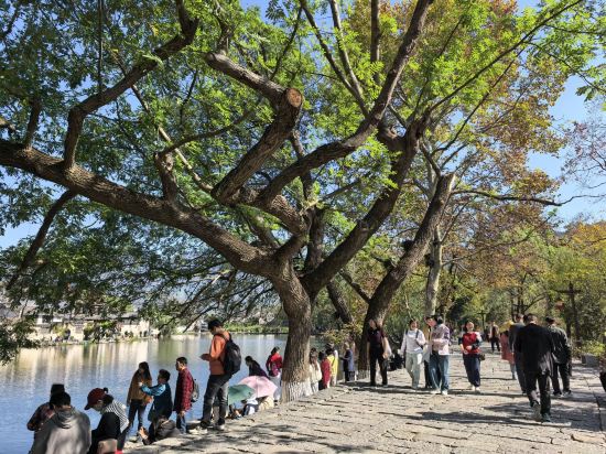 宏村溪雲畔月•度假精選徽州百年名宅藝術民宿優惠