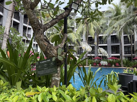 峇里島勒吉安海灘鉑爾曼酒店優惠