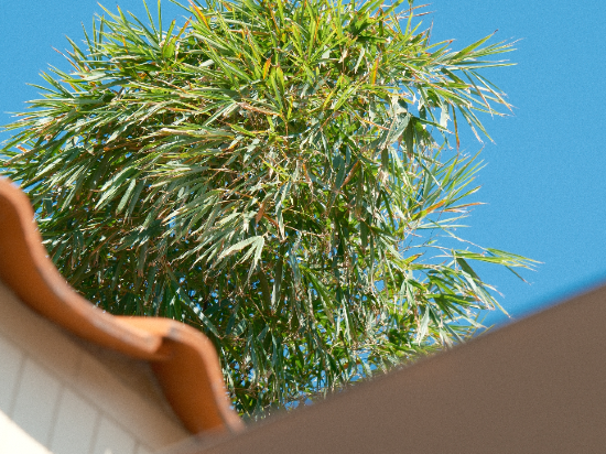 聆感·聆海飯店（日光岩港仔後沙灘店）優惠