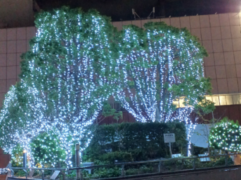 東京ドームホテル クーポン