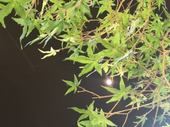 藍山越飯店（廈門SM城市廣場店）優惠