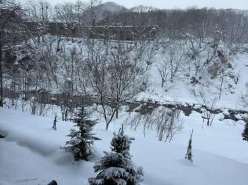 シャレーアイビー定山渓 クーポン