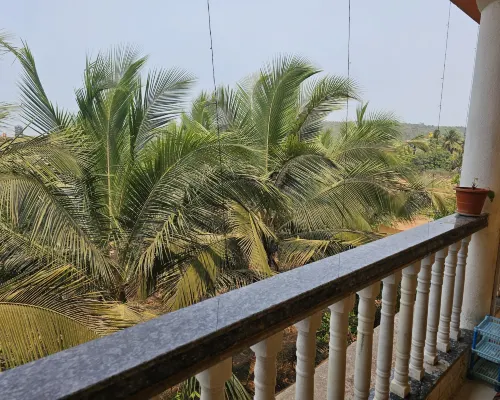 Arambol Paradise พื้นที่ส่วนกลาง  Photos
