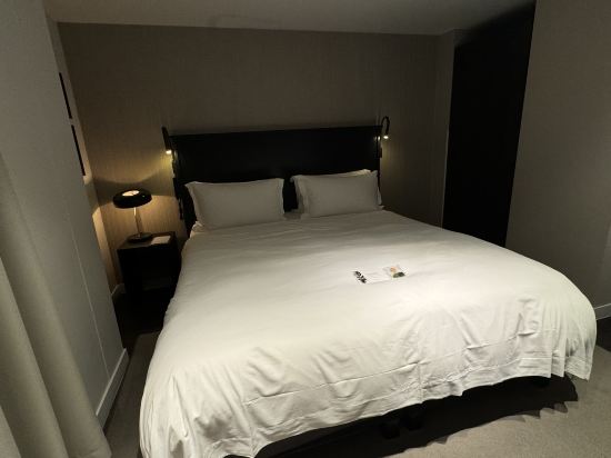 布魯塞爾中央枕頭市酒店優惠