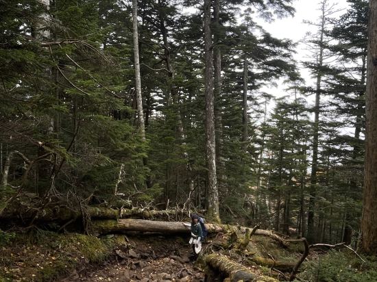 ホテルグリーンプラザ白馬 クーポン