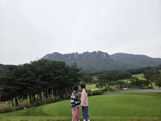 소노펠리체 델피노 고성 쿠폰