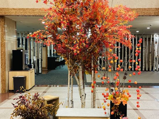 フォーポイントバイシェラトン函館 クーポン