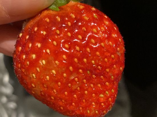 宜必思尚品大阪難波飯店優惠