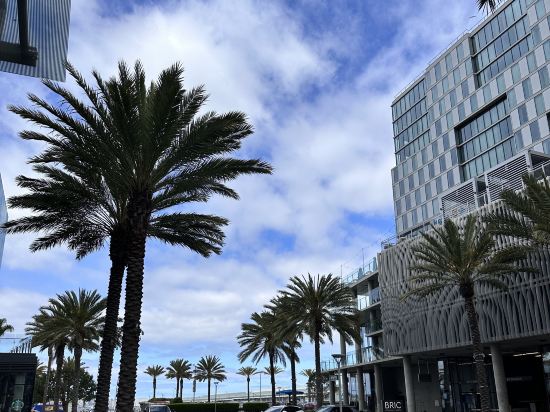 聖迭戈洲際酒店 - IHG 旗下飯店優惠