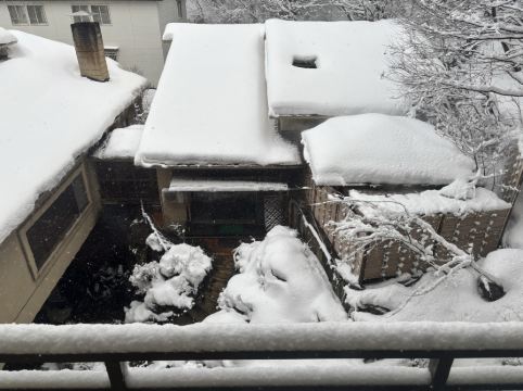 鳴子風雅 クーポン