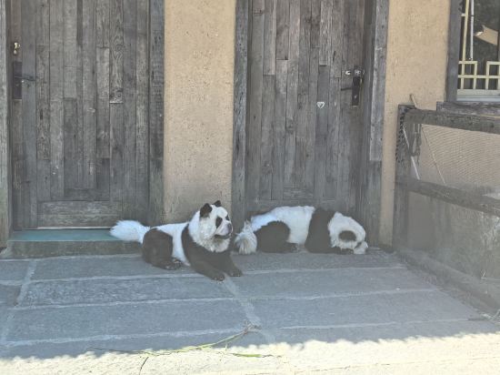 洛杉磯/聖加布裏埃爾希爾頓酒店優惠