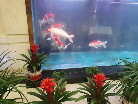 吉林紫光苑華美達酒店優惠